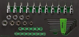 Fasano Tools Modulo Utensili Con Impronta Torx - 398x189